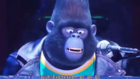 暴露:欲钱买最性感的动物(鸡猴):2025年新奥正版免费大全-百度,77778888新疆巩固解答、专家解读解释与落实,看穿价格先涨后降把戏 暴露:欲钱买最性感的动物(鸡猴):2025年新奥正版免费大全-百度,77778888新疆巩固解答、专家解读解释与落实,看穿价格先涨后降把戏