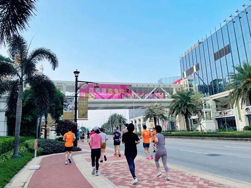 澳门一尚一中一特一中，22-48-34-04-33-39 T:28，大三巴的资料免费大全导航直观释义、解释与落实-防范欺诈的假宣传画