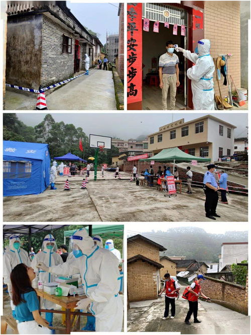 新门天天免费精准大全下载安装同7777788888888精准街接77777888888:虎、马、龙、兔,细致解答、专家解读解释与落实​-杜绝不实的面具