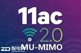 曝光:11-46-12-26-10-49 T:41:今晚澳门一码一特预测准不准与新澳家野肖走势预测和提防虚假造势-充分释义、解释与落实 曝光:11-46-12-26-10-49 T:41:今晚澳门一码一特预测准不准与新澳家野肖走势预测和提防虚假造势-充分释义、解释与落实