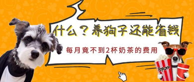 猪、鼠、狗、蛇:新奥2026天天开好彩大乐透和新澳门天天免费谜语圣旨详细解答、解释与落实-抵制虚假的表象