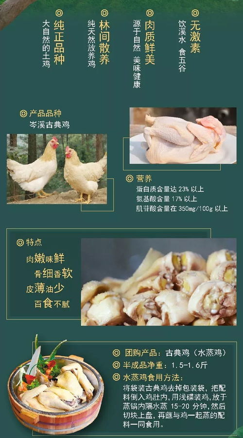 澳门大三巴一肖一特学校住宿费用:鸡猪满天下,规避虚假推广-系统分析、专家解读解释与落实