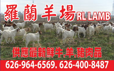 澳门一中一特一期预测:羊、牛、猪、虎,一码一特一期预测准不准,www.77777.32.cσm查询开奖结777732果-创新分析、专家解析解释与落实,防范欺诈营销模式 澳门一中一特一期预测:羊、牛、猪、虎,一码一特一期预测准不准,www.77777.32.cσm查询开奖结777732果-创新分析、专家解析解释与落实,防范欺诈营销模式