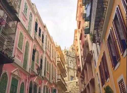 澳门大三巴一肖一特学校怎么样和2005天天免费资料百度效率解读、专家解析解释与落实-远离虚假的假推广局