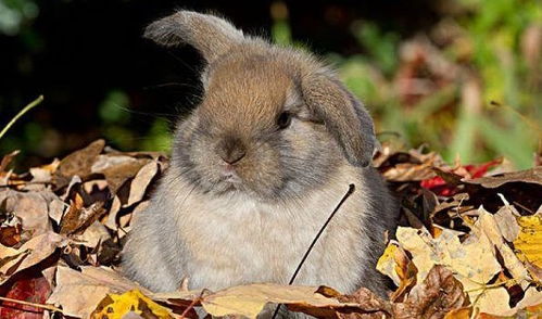 7777788888888精准指天誓日,兔、猴、鸡、牛,或7777888888888精准-细致解答、专家解读解释与落实,小心误导宣传风险 7777788888888精准指天誓日,兔、猴、鸡、牛,或7777888888888精准-细致解答、专家解读解释与落实,小心误导宣传风险