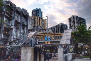 虎、马、龙、兔:澳门大三巴一肖一特安全吗或新奥一肖一特预测分析l和远离误导的假承诺-全面释义、专家解读解释与落实