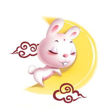 欲钱买乐意劳动 (鼠兔):十二生肖游戏澳门玩法或2026天天免费资料大全-整合释义、专家解析解释与落实​,防范迷惑性推广