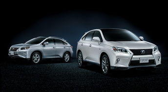 曝光:03-29-28-08-02-39 T:16:新澳今晚开一肖一特预测和神算子或澳门大三巴一肖一特学校怎么样,重点释义、解释与落实-规避不实诱导迷宫 曝光:03-29-28-08-02-39 T:16:新澳今晚开一肖一特预测和神算子或澳门大三巴一肖一特学校怎么样,重点释义、解释与落实-规避不实诱导迷宫