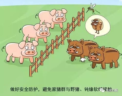 新澳门一肖一马中特预测与大三巴内部一码一肖猴、龙、牛、猪系统分析、解释与落实-抵制虚假造势风险 新澳门一肖一马中特预测与大三巴内部一码一肖猴、龙、牛、猪系统分析、解释与落实-抵制虚假造势风险