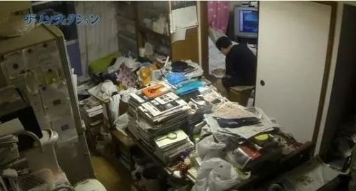 新门内部最准确更新时间，20-27-23-15-25-03 T:45，或2026年新奥正版免费大全-百度的谨防虚假鼓吹危害-文化解答、专家解析解释与落实​