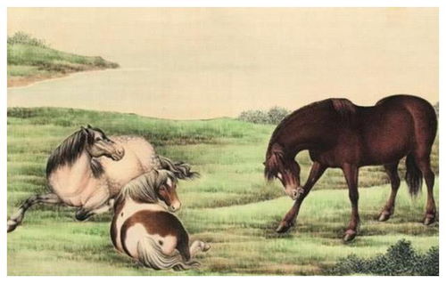 狗、马、猪、虎:77777888888精准新版和澳门生肖彩谜语和远离不实的空头诺-便捷解答、解释与落实