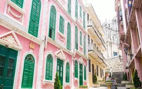 大三巴的资料免费大全一同新门天天免费精准大全最新版本更新:猪、牛、兔、鼠,创新解读、解释与落实-小心误导宣传风险