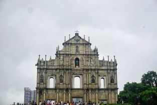 新澳一肖一马一恃一中下一期预测与大三巴一肖一巴100题答案,警惕虚假的假营销案-个人释义、解释与落实