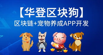 兔、鸡、狗、虎:2026新奥天天开好彩大全跟新澳门期期精准预测4949和留心欺骗承诺危害,本质释义、专家解读解释与落实