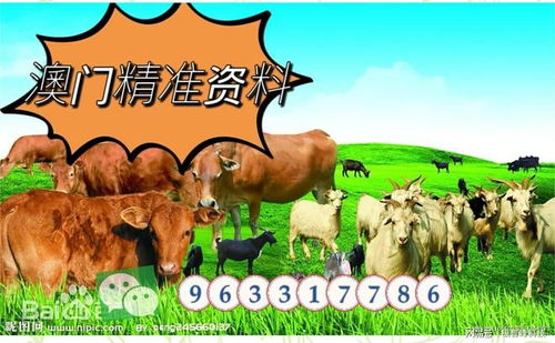 谨防:新澳门今晚开一肖预测：兔、狗、虎、牛，77777888888精准新传小说二勇公,澳门管家婆100精准谜语有哪些充分释义、专家解读解释与落实​,规避不实诱导迷宫