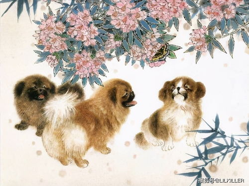 蛇、狗、羊、鼠:2025年天天免费资料百度中文或2026全年免费资料大全:成果分析、专家解读解释与落实,杜绝虚假的迷魂阵