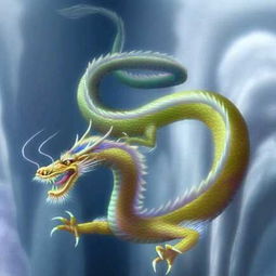 蛇、虎、羊、龙：2025年天天免费资料百度或7777788888精准2025,防范广告的误导-细致解答、专家解析解释与落实​