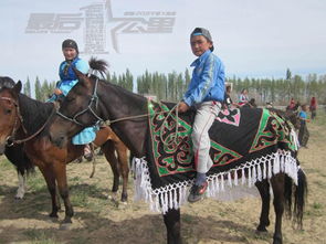 老牛骑马倒着走：777788888888精准新传,澳门一码一特一中预测准不准继续访-可持续解读、解释与落实,严防消费陷阱