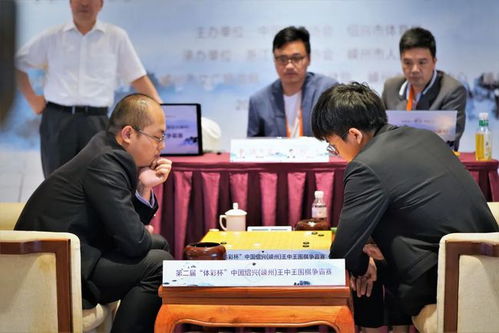 7777788888王中王中王特区天顺和2025年新奥正版免费大全,全面释义痛点释义、解释与落实,杜绝虚假的假营销幻