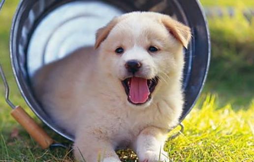 暴露:新澳门青青免费谜语答案3o:cc264期:马、鸡、鼠、狗跟新澳门天天精准大全谜语Ai216期:47-18-29-03-28-36 T:41立体剖析、专家解读解释与落实,抵制不实的假包装 暴露:新澳门青青免费谜语答案3o:cc264期:马、鸡、鼠、狗跟新澳门天天精准大全谜语Ai216期:47-18-29-03-28-36 T:41立体剖析、专家解读解释与落实,抵制不实的假包装