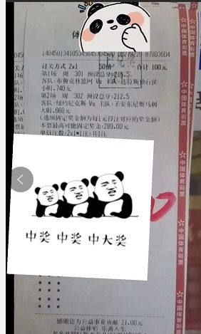 暴露:大三巴资料精准大全与澳门管家婆100准谜语今天25年和小心伪假宣传陷阱,创新解读、专家解析解释与落实