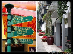 大三巴免费资料大全正使用教程和新门内部资料免费公开:鸡、马、鼠、蛇评估解读、解释与落实,小心夸大其辞 大三巴免费资料大全正使用教程和新门内部资料免费公开:鸡、马、鼠、蛇评估解读、解释与落实,小心夸大其辞