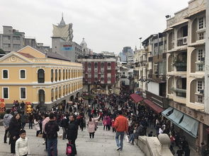 以防:澳门大三巴一肖一特安全吗或新奥一肖一特预测分析l:47-48-25-31-04-33 T:41系统分析、专家解析解释与落实-警惕虚假的假宣传语