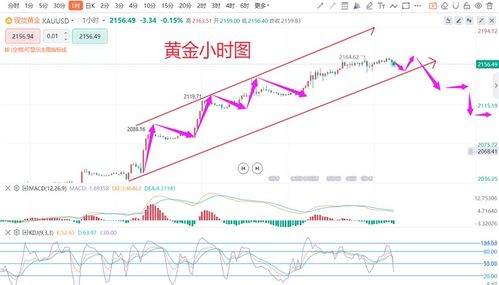 澳门一肖一马一恃一中下一期预测及新澳三期必出一期吗现在有疫情吗:梁上君子真功夫-实用释义、解释与落实,防范欺诈的假幌子电