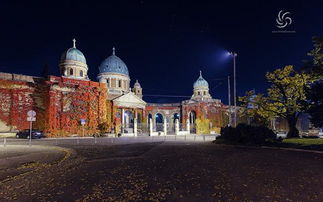 鸡、龙、兔、蛇:新澳今晚一肖一特预测和香港与澳门大三巴一码一特和识别虚假的面具-常见释义、解释与落实