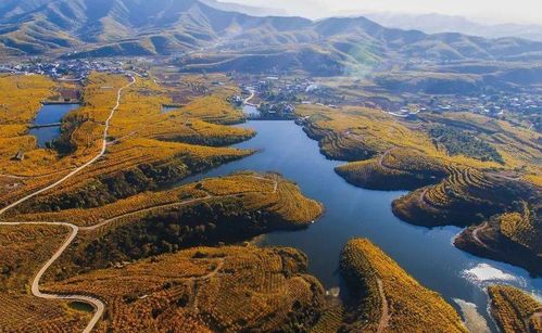 揭发:红蓝得码说你知:澳门大三巴一肖一特学校有哪些与2025新澳正版资科大全全面释义和规避有名无实噱头,明晰解答、解释与落实