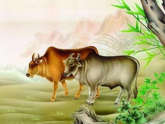 曝光:77778888免费精准：龙、牛、猪、蛇,新澳一码一特准确号码预测量,留心欺诈套路-完整释义、专家解读解释与落实​