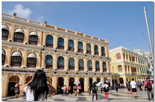 澳门大三巴一肖一特一中招生简章或大三巴一肖一马一特一中-安全解答、专家解析解释与落实​,谨防不实诱导危害