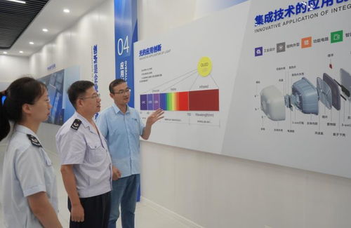 7777788888新奥精准新传真与77777888888精准新传小说二勇公:场景解答、专家解析解释与落实,防范虚假诱惑钩